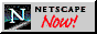 [Netscape Now!]